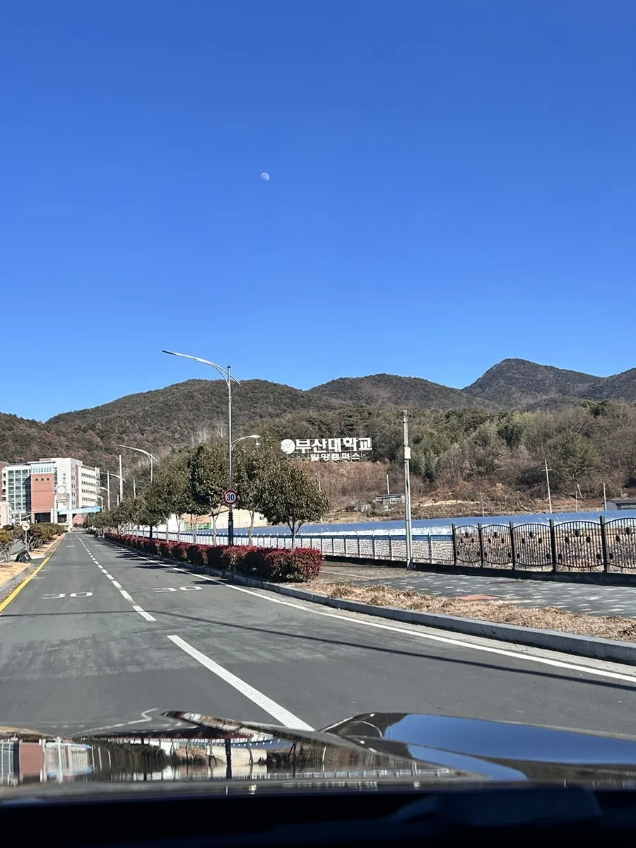 산과 건물 사이로 난 캠퍼스 도로와 멀리 보이는 표지
